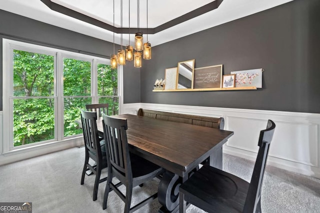 117 Willow View Ln, Canton, GA 30114 - dining space with healthy amount of natural light, carpet floors, and wainscoting