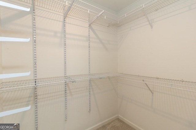 1017 Ridgefield Dr, Peachtree City, GA 30269 - view of spacious closet