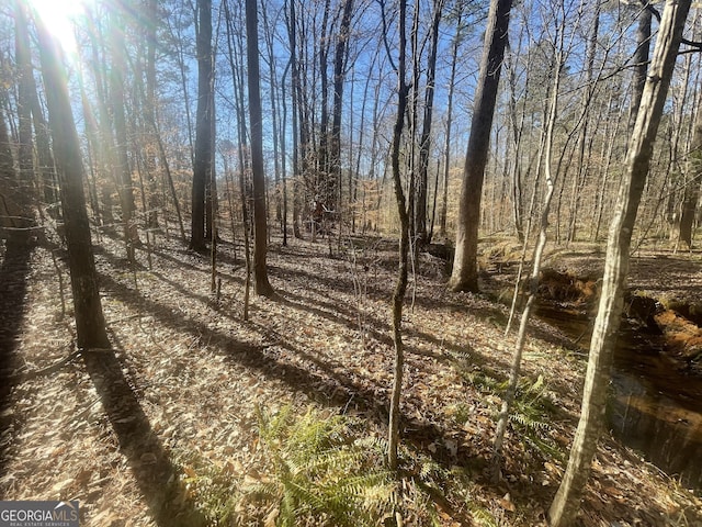 0 Wehadkee Creek Rd, Lagrange, GA 30240