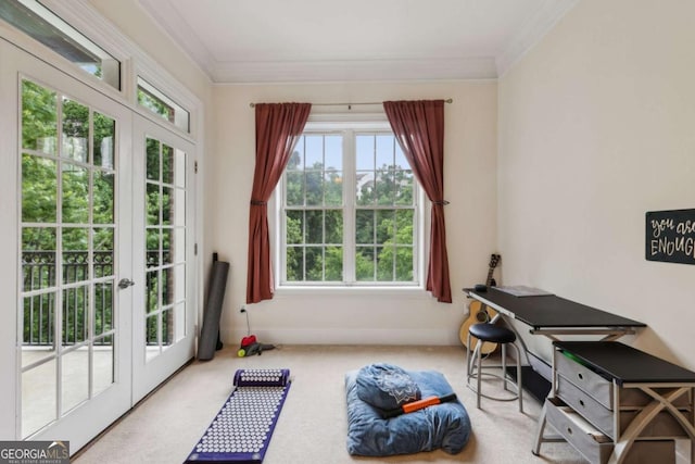 3280 Stillhouse Ln SE Unit 212, Atlanta, GA 30339 - sitting room featuring french doors, carpet, and ornamental molding