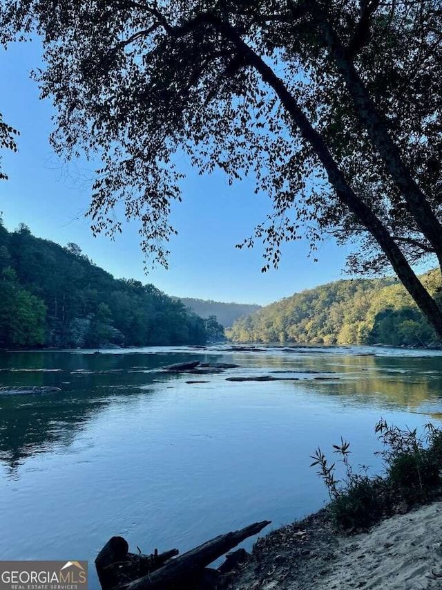 3280 Stillhouse Ln SE Unit 212, Atlanta, GA 30339 - water view with a heavily wooded area