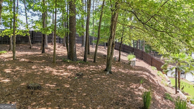 4320 Oklahoma Way NW, Kennesaw, GA 30152 - view of fenced backyard