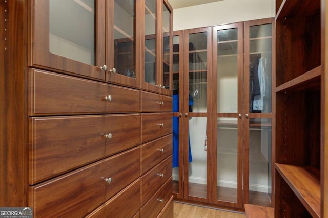 8970 Moor Park Run, Duluth, GA 30097 - spacious closet with light wood-type flooring and french doors