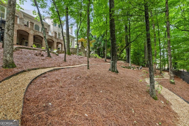 8970 Moor Park Run, Duluth, GA 30097 - view of yard