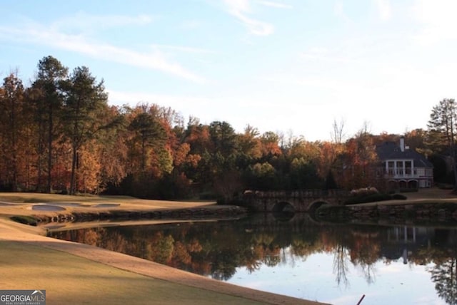 8970 Moor Park Run, Duluth, GA 30097 - water view