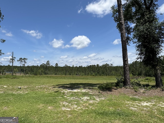 353 Mosley Rd, Vidalia, GA 30474 - view of grassy yard with a wooded view