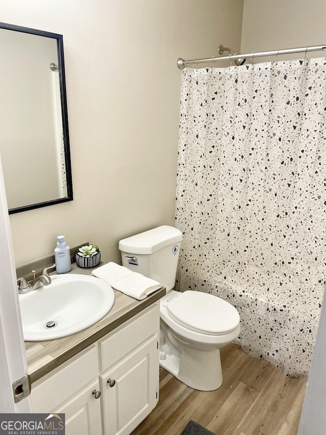 305 Lancelot Ln, Dublin, GA 31021 - bathroom featuring wood finished floors, vanity, toilet, and a shower with curtain