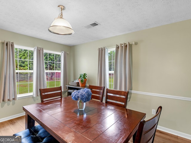 300 Furrow Creek Ct, Jackson, GA 30233 - dining room featuring wood finished floors, baseboards, and a textured ceiling