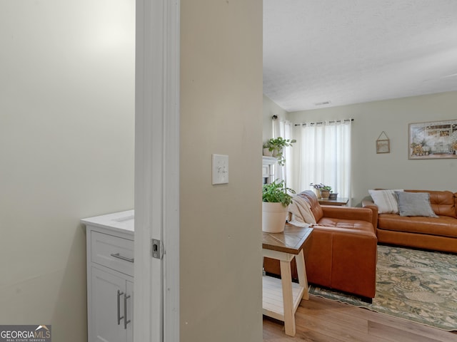 300 Furrow Creek Ct, Jackson, GA 30233 - living area with light wood-style floors