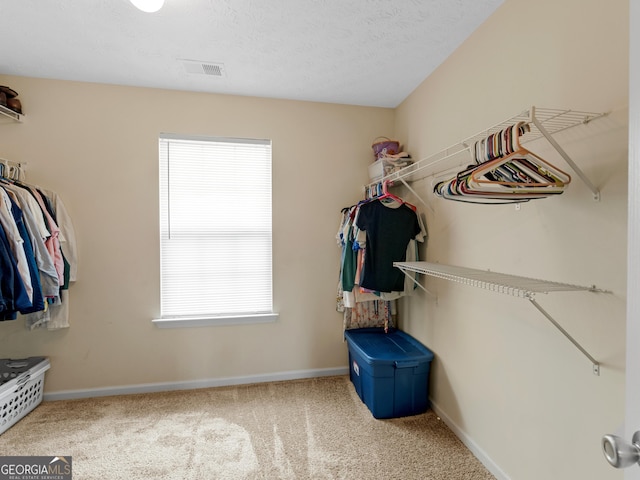 300 Furrow Creek Ct, Jackson, GA 30233 - walk in closet featuring carpet flooring