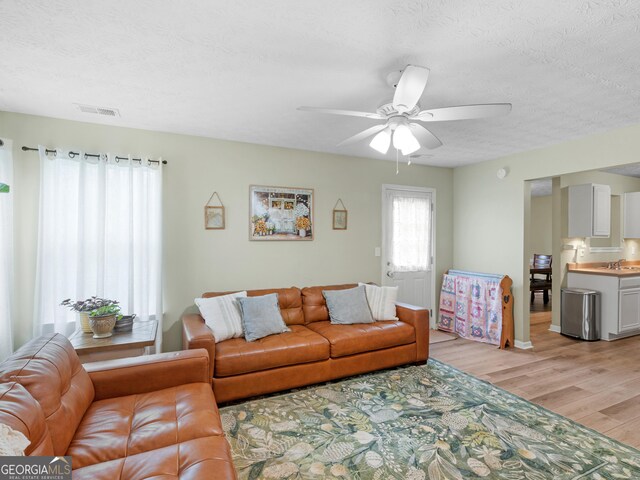 300 Furrow Creek Ct, Jackson, GA 30233 - living area with light wood-style floors, ceiling fan, and a textured ceiling