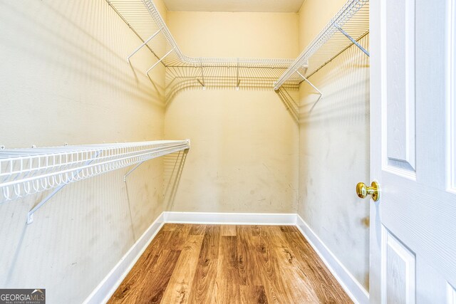 103 Mossy Creek Way, Ochlocknee, GA 31773 - spacious closet featuring wood finished floors