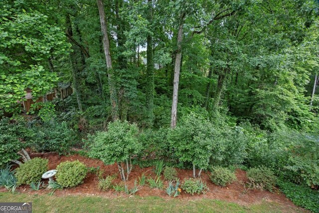 2018 Township Dr, Woodstock, GA 30189 - view of undeveloped land