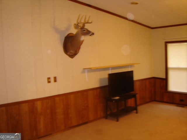 6177 County Road 266, Five Points, AL 36855 - unfurnished living room featuring wooden walls, a wainscoted wall, ornamental molding, and light colored carpet