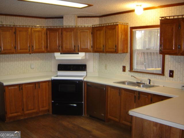 6177 County Road 266, Five Points, AL 36855 - kitchen with range with electric stovetop, under cabinet range hood, stainless steel dishwasher, wallpapered walls, and a sink