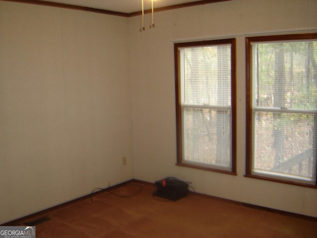 6177 County Road 266, Five Points, AL 36855 - carpeted empty room featuring plenty of natural light