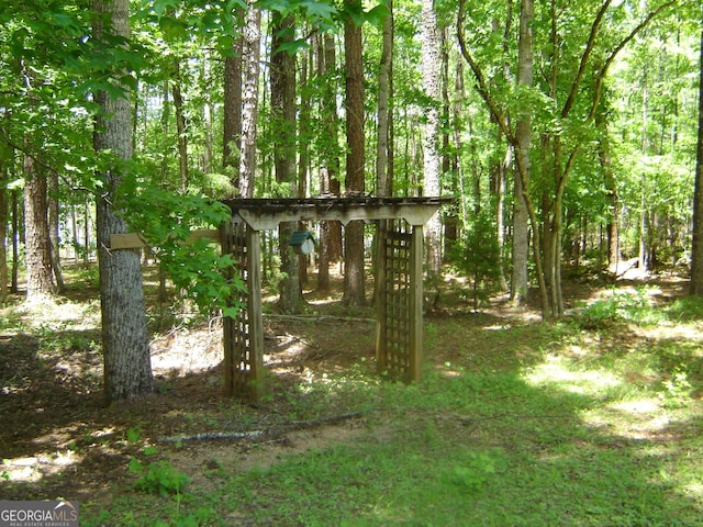 6177 County Road 266, Five Points, AL 36855 - view of yard