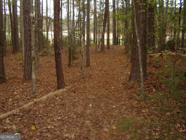 6177 County Road 266, Five Points, AL 36855 - view of woods