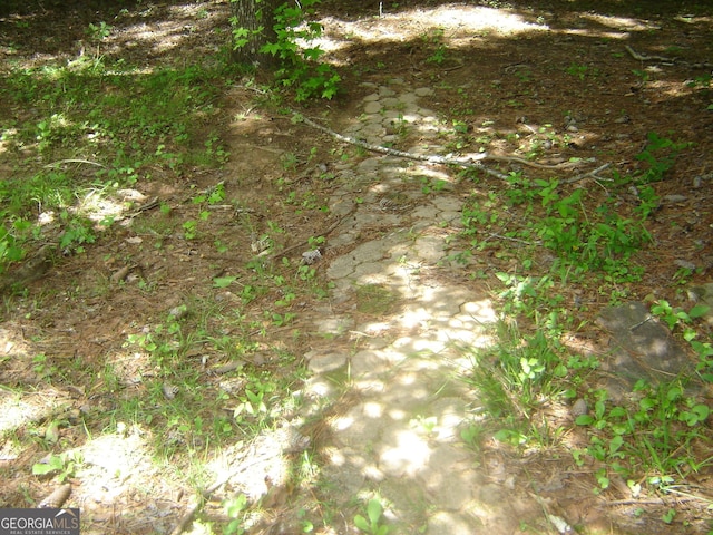 6177 County Road 266, Five Points, AL 36855 - exterior view