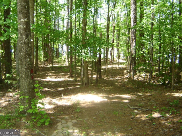 6177 County Road 266, Five Points, AL 36855 - view of local wilderness