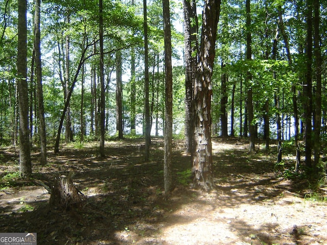 6177 County Road 266, Five Points, AL 36855 - view of local wilderness