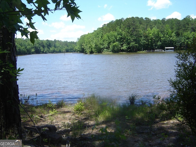6177 County Road 266, Five Points, AL 36855 - water view with a forest