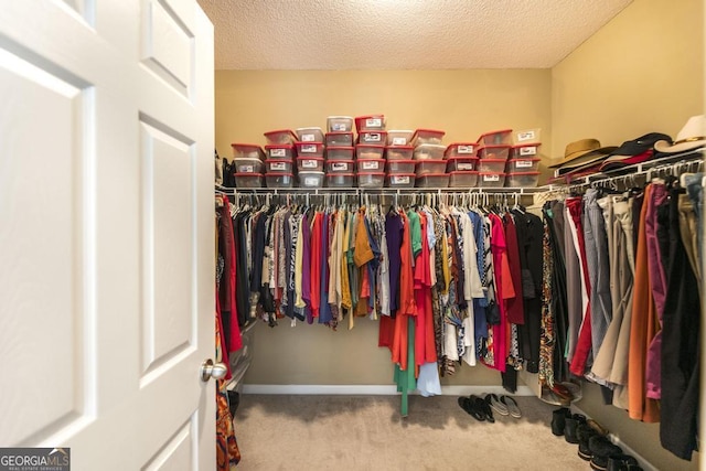 201 Loudon Hill Dr, Warner Robins, GA 31088 - walk in closet featuring carpet