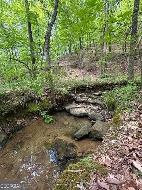 0 Castleberry Rd, Lafayette, GA 30728