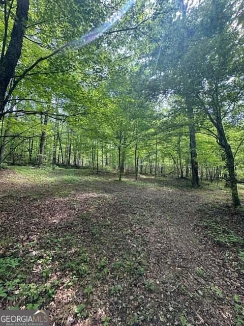 0 Castleberry Rd, Lafayette, GA 30728