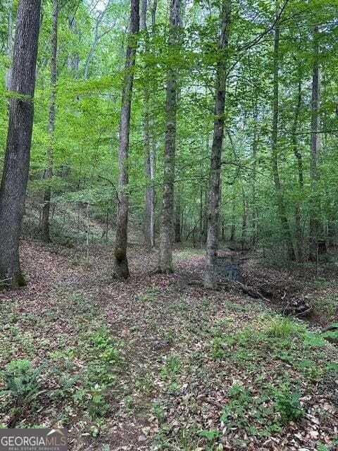 0 Castleberry Rd, Lafayette, GA 30728