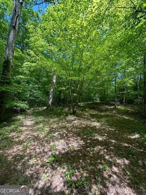 0 Castleberry Rd, Lafayette, GA 30728