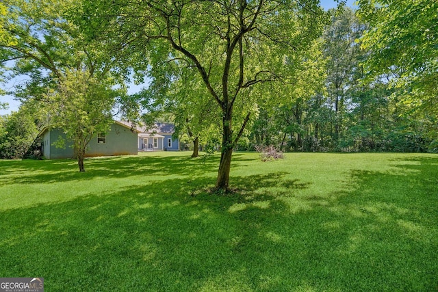 1382 6th Ave, Auburn, GA 30011 - view of grassy yard