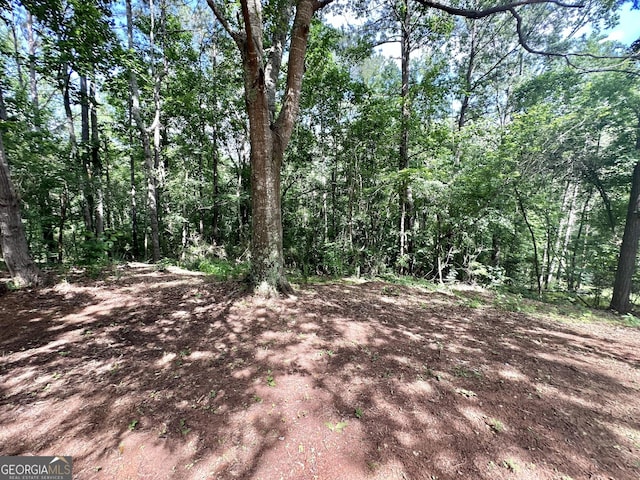 2165 S River Rd, Franklin, GA 30217 - view of woods