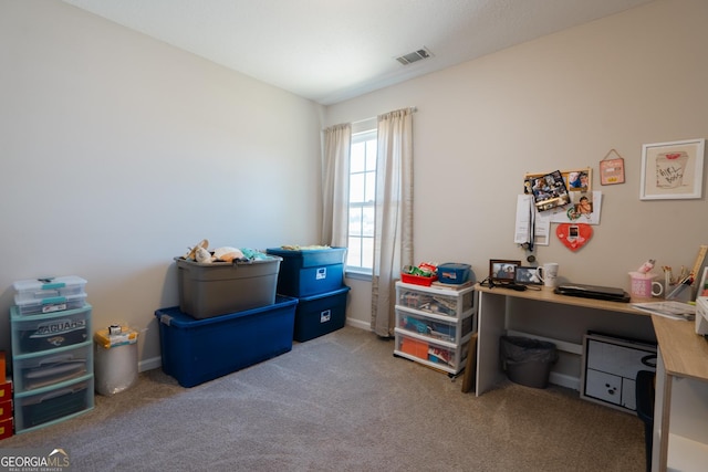 247 Morgan Field Blvd, Ludowici, GA 31316 - home office with carpet flooring and baseboards