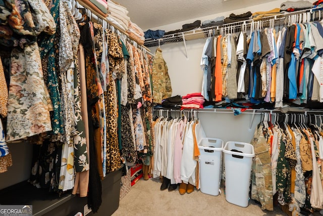247 Morgan Field Blvd, Ludowici, GA 31316 - walk in closet featuring carpet floors