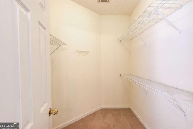 3585 Berkeley Park Ct, Duluth, GA 30096 - walk in closet featuring light colored carpet