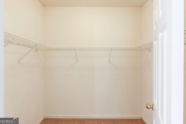 3585 Berkeley Park Ct, Duluth, GA 30096 - walk in closet featuring light colored carpet