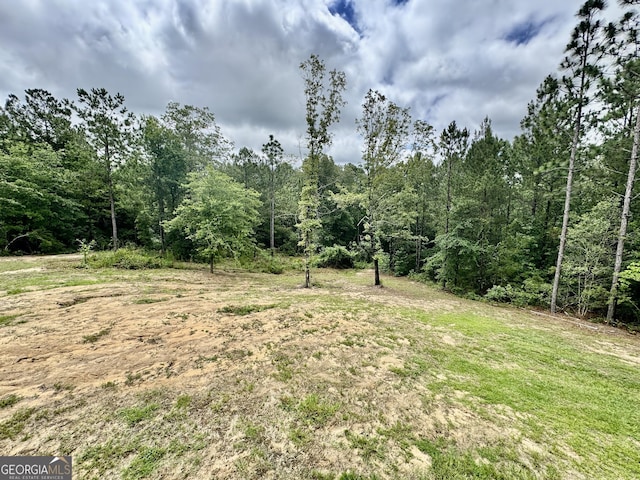 342 Wellington Dr, Byron, GA 31008 - view of wooded area