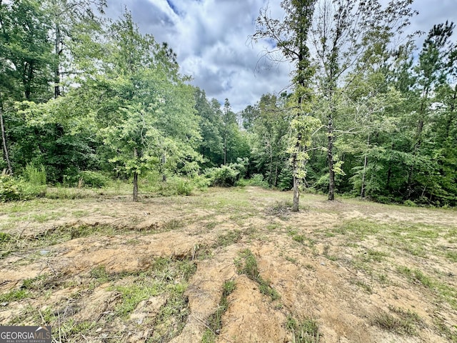 342 Wellington Dr, Byron, GA 31008 - view of woods
