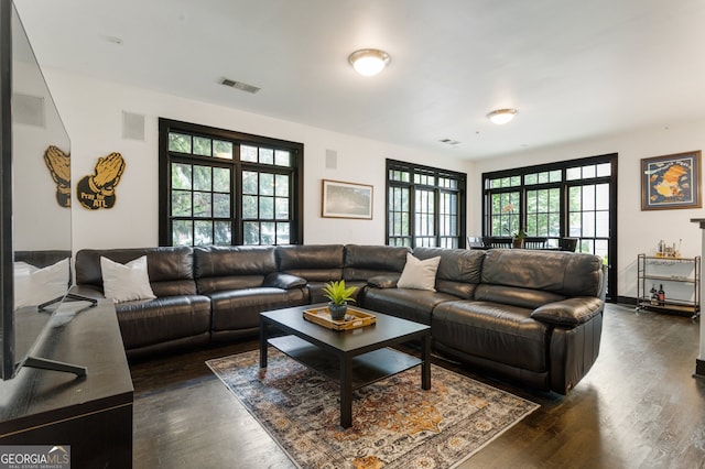 1300 Dekalb Ave NE Unit 711, Atlanta, GA 30307 - living area with plenty of natural light and dark wood-type flooring