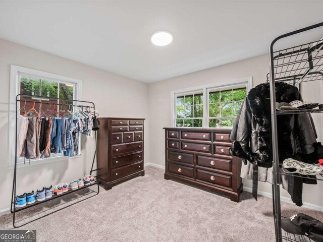 1488 Vine St NE, Gainesville, GA 30501 - spacious closet with carpet flooring