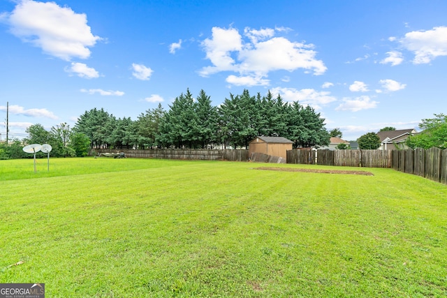 106 Thornton Dr, Bonaire, GA 31005 - view of yard