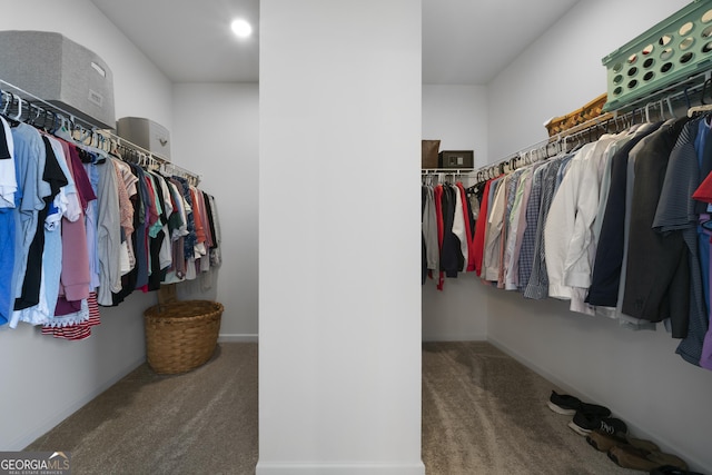 22 Mossy Oaks Ln NE, Rome, GA 30165 - spacious closet featuring carpet floors