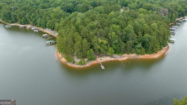 69 Cheyenne Trl, Martin, GA 30557 - drone / aerial view of a large body of water and a heavily wooded area