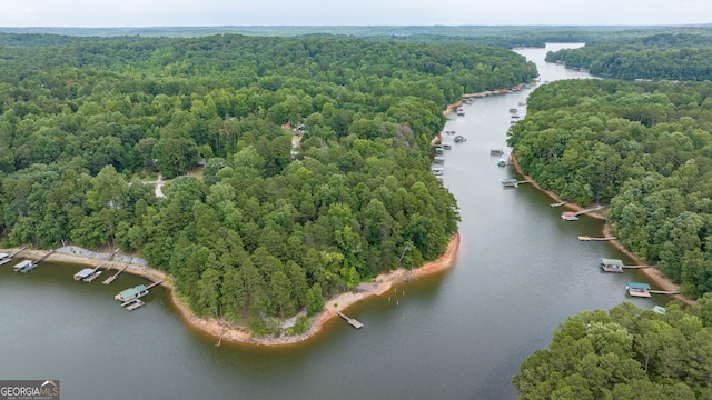 69 Cheyenne Trl, Martin, GA 30557 - aerial view of a heavily wooded area and a nearby body of water
