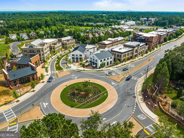 505 Parkview Dr, Milton, GA 30004 - aerial view