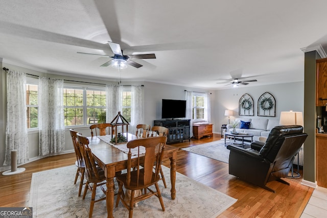 75 Barber Rd, Carrollton, GA 30116 - dining room with ceiling fan, baseboards, light wood-type flooring, and crown molding
