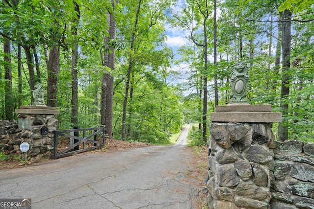 3090 Bethany Church Rd, Greensboro, GA 30642 - view of asphalt road