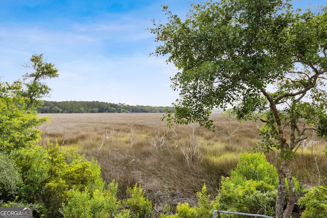 109 Carrington Ct, Kingsland, GA 31548 - view of nature with rural landscape