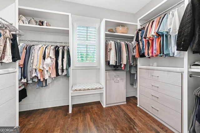 221 Goss Ln, Ball Ground, GA 30107 - spacious closet with dark wood-style floors